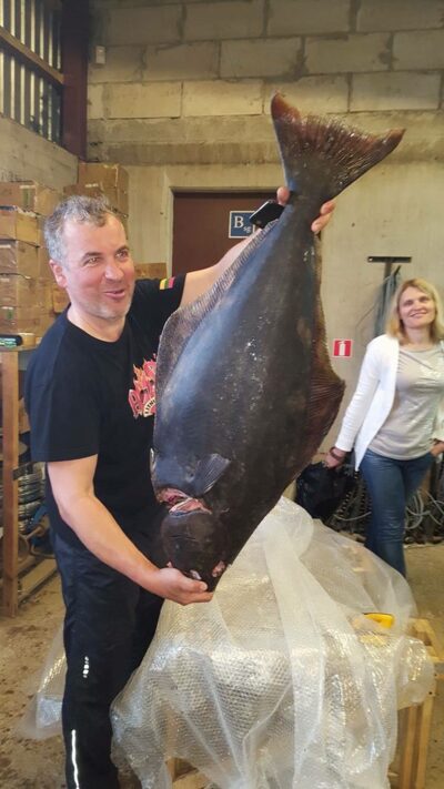 Turbot, 19.5 kg — Norwegian Sea