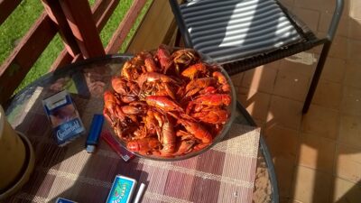 Delcore Crayfish ×90