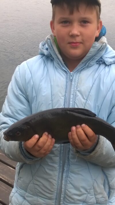 Tench, 1.0 kg