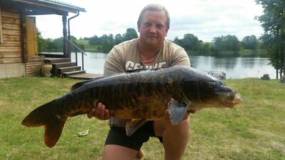 Mirror carp, 13.5 kg