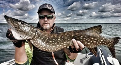 Northern Pike, 4.6 kg
