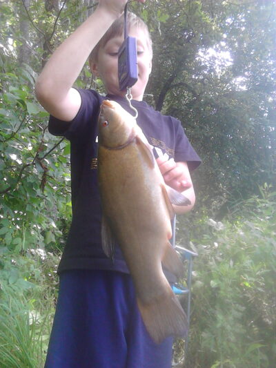 Tench, 1.0 kg — Kriaunelis