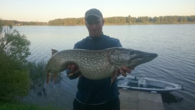 Northern Pike, 7.3 kg — Kupiškio