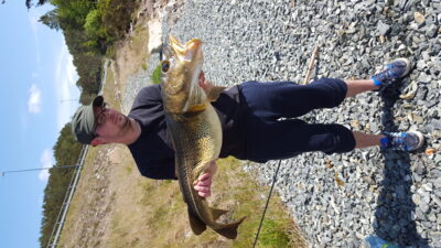 Atlantic cod, 7.0 kg