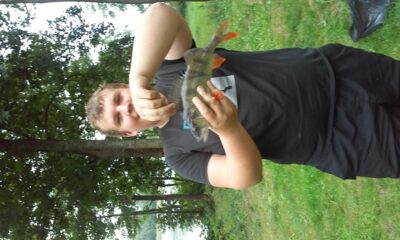 Eurasian perch, 0.7 kg