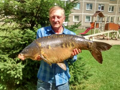 Mirror carp, 11.4 kg