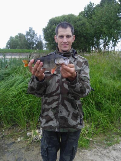 Eurasian perch, 0.4 kg — Bublių