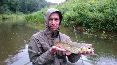 chub — Širvinta