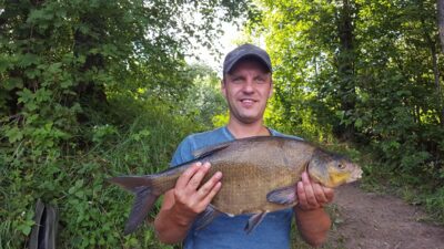 Carp bream, 2.7 kg — Bebrusai