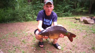 Mirror carp, 4.5 kg