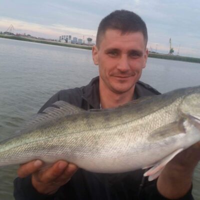 Pike perch — Kuršių