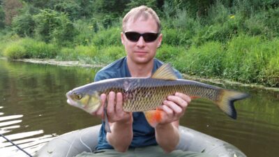 chub — Širvinta