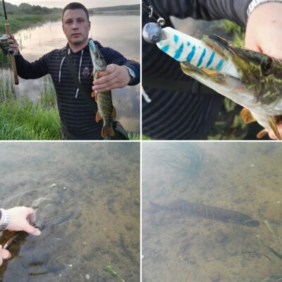 Northern Pike — Neman River