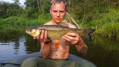 chub — Širvinta