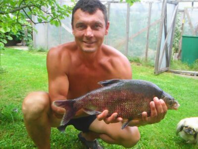 Carp bream, 2.3 kg