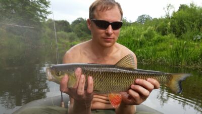 chub — Širvinta