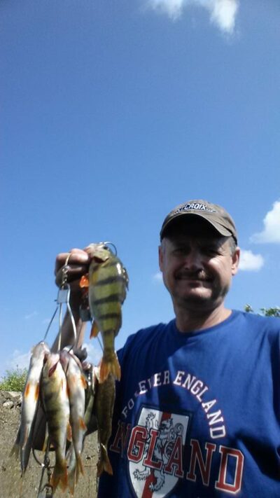 Eurasian perch — Elektrėnai reservoir