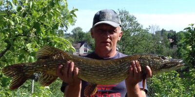 Northern Pike, 5.1 kg