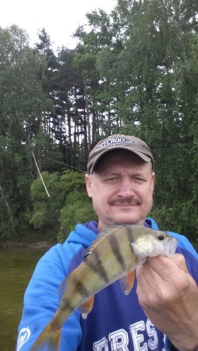Eurasian perch — Baltieji Lakajai