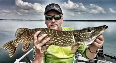 Northern Pike, 3.7 kg