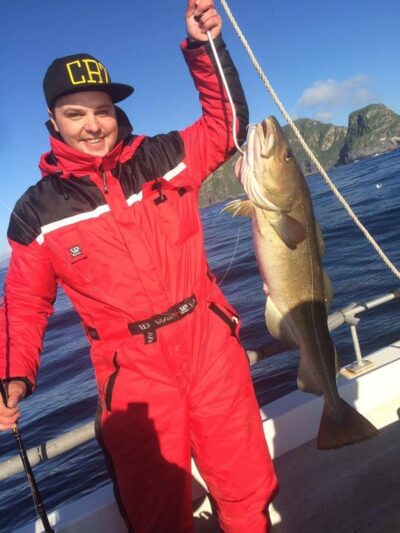 Atlantic cod, 10.0 kg