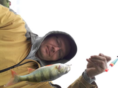 Eurasian perch ×3 — Sartai
