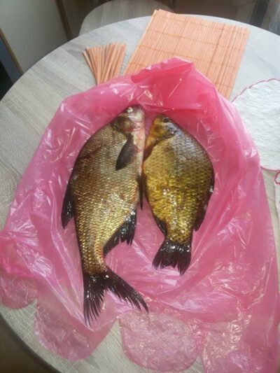 Carp bream, 0.8 kg