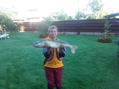 Pike perch, 3.5 kg — Mituva