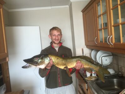 Northern Pike, 6.5 kg — Maridalsvannet