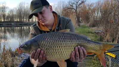 Mirror carp, 5.4 kg