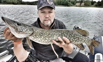 Northern Pike, 2.9 kg