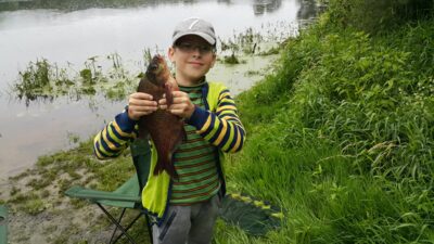 Carp bream, 1.0 kg — Nevėžis