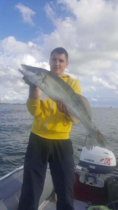 Pike perch, 3.1 kg — Kuršių