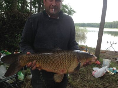 Carp, 9.0 kg