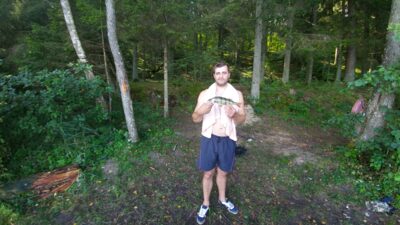 Eurasian perch, 0.7 kg — Baluošas