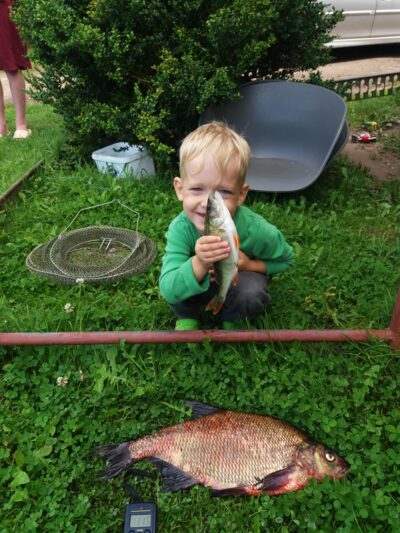 Carp bream, 1.3 kg — Pagryžuvio