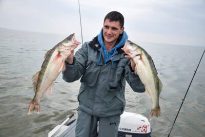 Pike perch, 1.7 kg — Kuršių