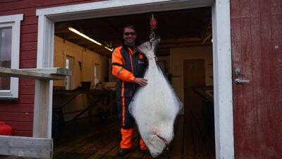 Turbot, 62.0 kg — Barents Sea