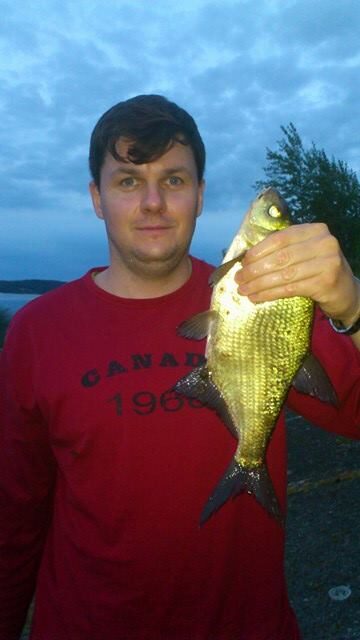 Carp bream, 0.7 kg — Elektrėnai reservoir