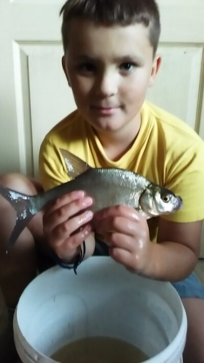 Silver Bream — Talkša