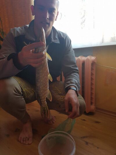 Northern Pike