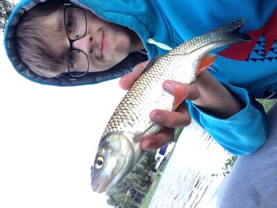 chub ×12