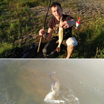Northern Pike — Neman River