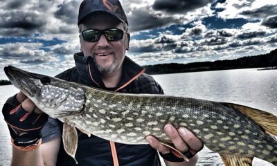 Northern Pike, 3.0 kg