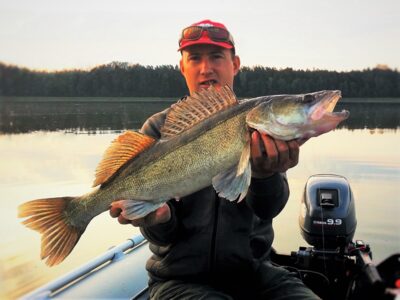 Pike perch
