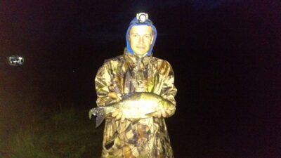 Carp bream