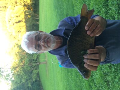 Crucian carp