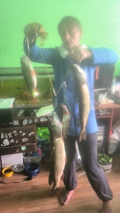 Northern Pike ×7