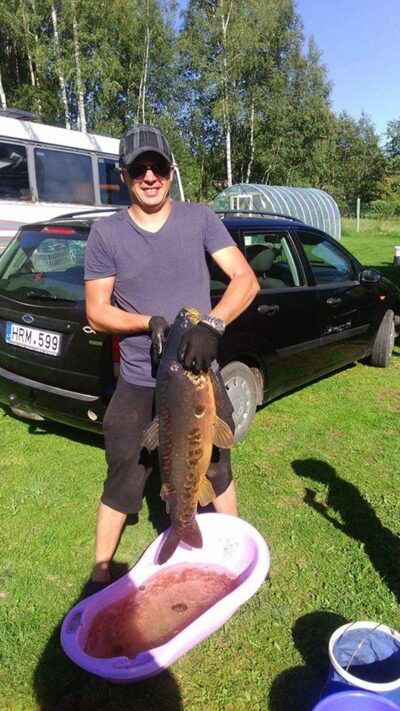Carp, 11.5 kg — Rukainė