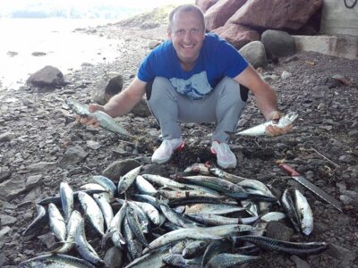 Mackerel ×52 — North Sea